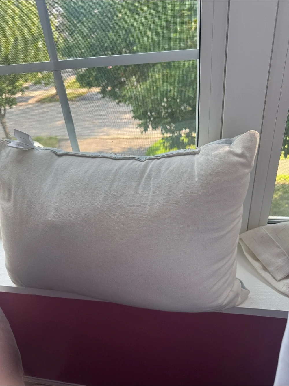 Embroidered Light Blue Accent Pillow with Ivory Appliqué